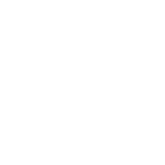 location-icon